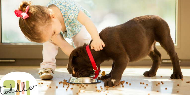 1.-Toddlers-and-dogs-landscape-50c109162cebb8ee3dd6090330781dfe-608fc9014daa5