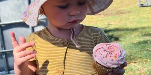 ToddlerMealtimes-cupcake-junk-party-food